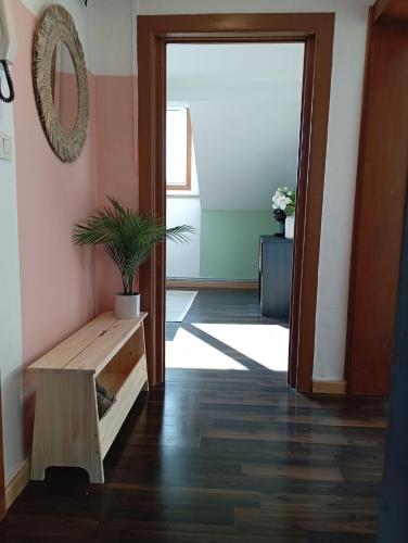 a hallway with a bench and a potted plant at Révélation Liège in Liège