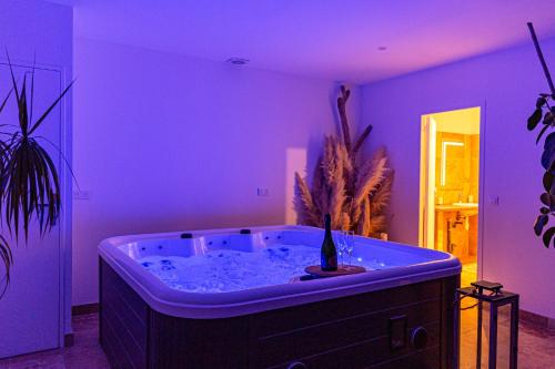 a purple room with a tub with a plant in it at Villa Van Gogh in Saint-Martin-de-Crau