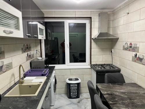 a small kitchen with a sink and a stove at Karina Maliuc Apartment in Maliuc