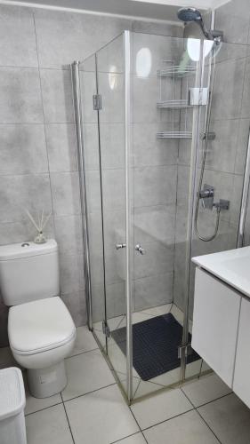 a bathroom with a shower with a toilet and a sink at Haifa night's in Haifa