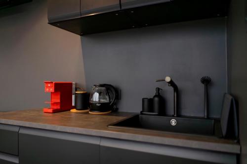 Zebras Muiža的住宿－ZEBRUS RESORT，厨房柜台配有水槽和咖啡壶