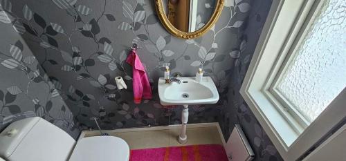 a bathroom with a sink and a mirror at Hammarstrandvilla in Hammarstrand