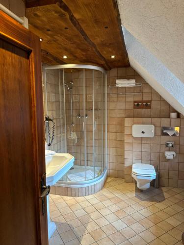 een badkamer met een douche, een bad en een toilet bij Romantik Hotel U Raka in Praag