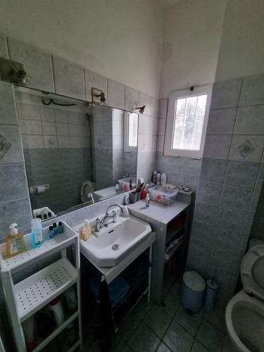 a bathroom with a sink and a mirror at DianaBNB in Artemida