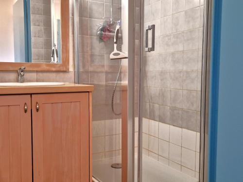 a bathroom with a shower and a sink and a mirror at Appartement Cerbère, 2 pièces, 4 personnes - FR-1-309-427 in Cerbère