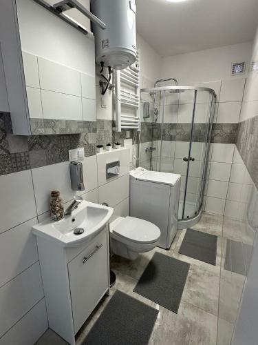 y baño con aseo, lavabo y ducha. en Kawalerka w Górach, en Wałbrzych
