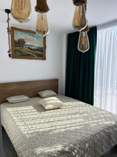 a bedroom with a bed and a painting on the wall at Cuibul din livadă in Suduleni
