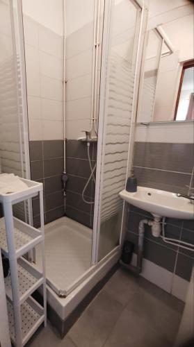 une salle de bain avec douche et lavabo dans l'établissement Appartement lumineux, à Montreuil