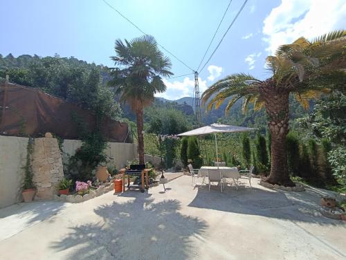 a patio with palm trees and a table and an umbrella at Alojamiento Rural Mariola in La Iruela