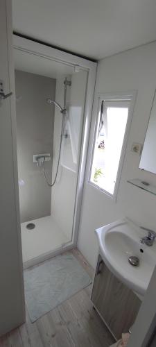 a bathroom with a shower and a sink at Franck's tiny house in Lège-Cap-Ferret