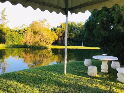 una sombrilla y una mesa frente a un lago en T3c Gardens, en Lusaka