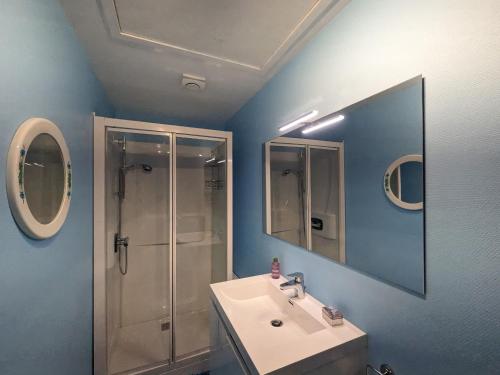 W łazience znajduje się umywalka, prysznic i lustro. w obiekcie Gîte Montot-sur-Rognon, 3 pièces, 4 personnes - FR-1-611-101 