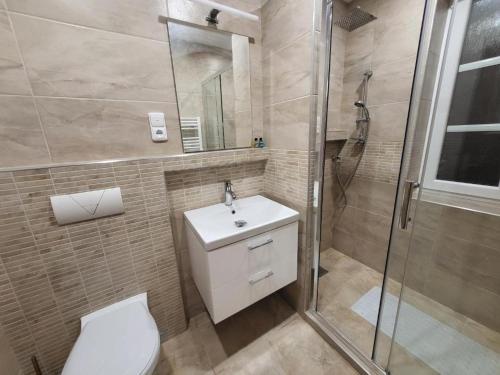 a bathroom with a toilet and a shower and a sink at Pension Pod Lipou in Nová Ves v Horách