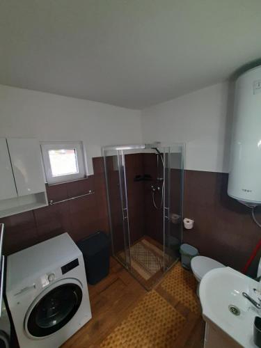 y baño con ducha y lavadora. en Mountain Cozy Home, en Sub Cetate