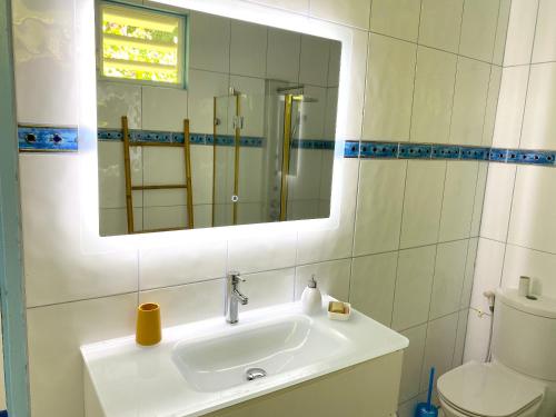 W łazience znajduje się umywalka, lustro i toaleta. w obiekcie Villa de 2 chambres avec vue sur la mer piscine privee et jacuzzi a Saint Pierre a 1 km de la plage w mieście Saint-Pierre