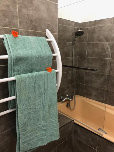 La salle de bains est pourvue de serviettes vertes et d'une baignoire. dans l'établissement La terrasse des capucines, à Sète