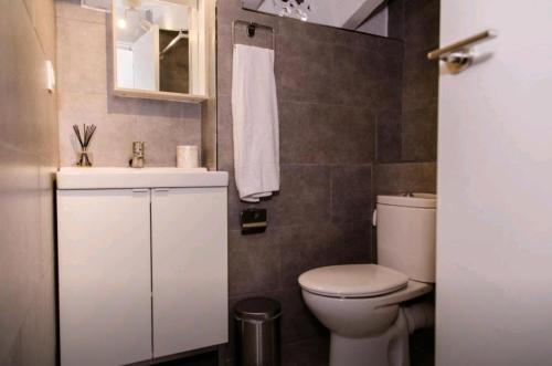 バレンシアにあるloft con terrazaのバスルーム(トイレ、洗面台、鏡付)