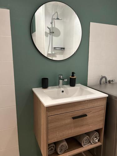 a bathroom with a sink and a mirror at Studio le Cerisier in Troyes