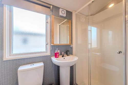 a bathroom with a toilet and a sink and a shower at 30 Bayside Cove Pevensey Bay Holiday Park in Pevensey