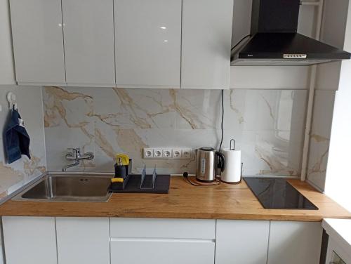 a kitchen with a sink and a counter top at Vytekstos Apartamentai in Druskininkai