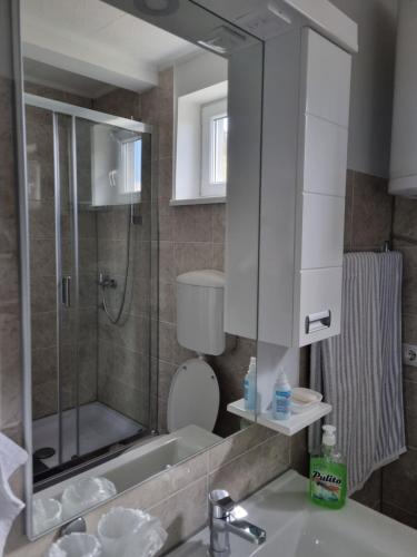 y baño con lavabo, aseo y espejo. en Apartman Ćurčić, en Vrdnik