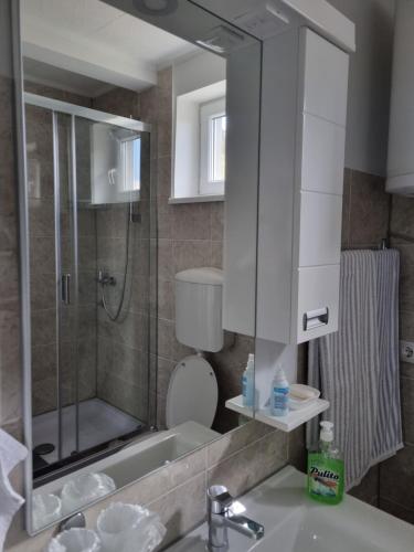 a bathroom with a sink and a toilet and a mirror at Apartman Ćurčić in Vrdnik