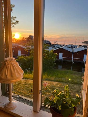 a window with a lamp and a plant on a window sill at Hamnstuga i Hästholmens småbåtshamn in Ödeshög