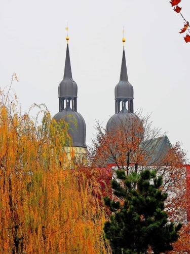two domes on top of a building with trees at Apartman Island Zelenečská in Trnava