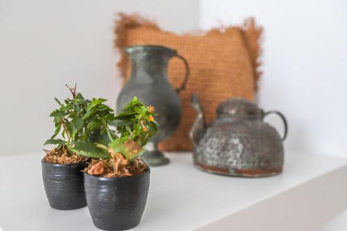 three potted plants on a shelf with a tea kettle at Mavi Cam Hotel Ayvalik in Sefaçamlık