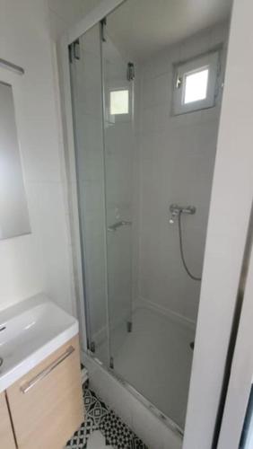 une salle de bain avec douche et lavabo dans l'établissement Maisonnette avec jardin proche Paris, à Saint-Mandé