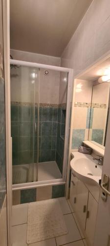 La petite salle de bains est pourvue d'une douche et d'un lavabo. dans l'établissement T3 Riez, à Riez