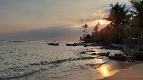 a beach with boats in the water and palm trees at Beach Paradise in Matara