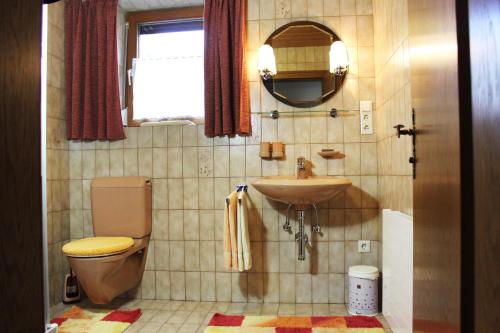 a bathroom with a sink and a toilet and a mirror at Appartements Hanni in Ehrwald