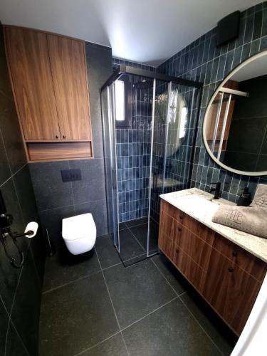 a bathroom with a toilet and a sink and a mirror at Green House Jugów in Jugów