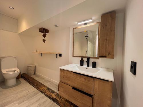 ein Bad mit einem Waschbecken und einem WC in der Unterkunft Cocon sous les toits in Albertville