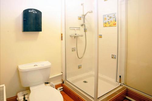 a bathroom with a shower and a toilet at Celyn Bach Llangrannog in Blaencelyn