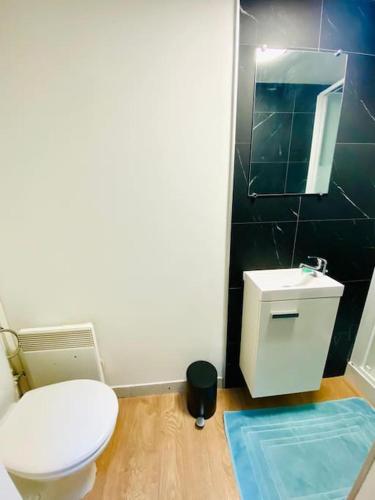 une salle de bain avec des toilettes blanches et un lavabo dans l'établissement Charmant et paisible duplex à gare Rennes, à Rennes
