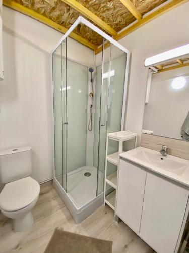 une salle de bain avec une douche, des toilettes et un lavabo dans l'établissement 204 Studio Immeuble Perséverance, à Conflans-en-Jarnisy