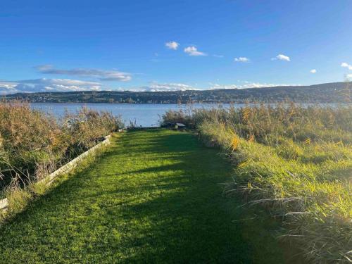 a grass path next to a body of water at Seeluft direkt am Wasser in Reichenau