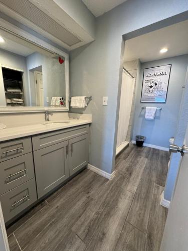 a bathroom with a sink and a mirror at FMH Property Management in Orlando