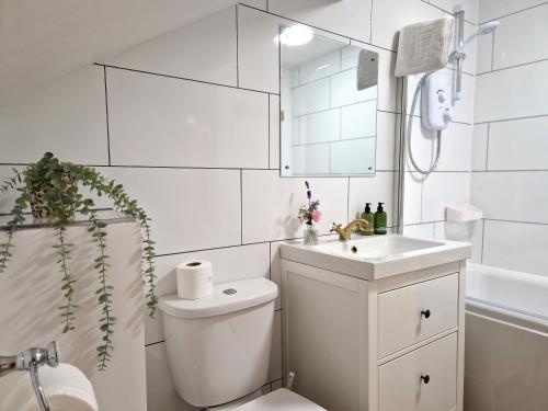 a white bathroom with a toilet and a sink at Cowman's Cottage in Leighton Buzzard