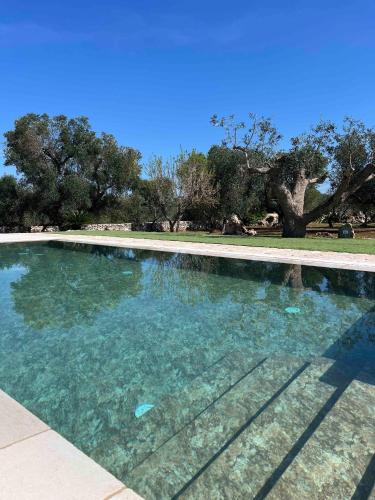 a large pool of water with trees in the background at Dimore Storiche - Ulivo di Aldo in Martina Franca