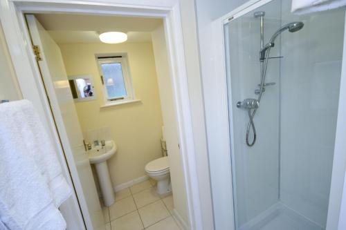 a bathroom with a shower and a toilet and a sink at The Egg Room in Ivinghoe