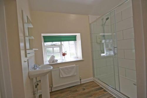 a bathroom with a sink and a glass shower at The Elephant Room in Ivinghoe