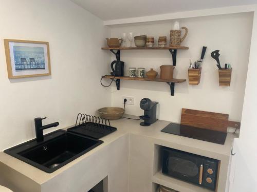 eine Küche mit einer Spüle und einer Mikrowelle in der Unterkunft Cabanon d’Amata in Saint-Raphaël