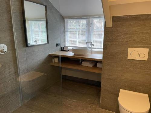 een badkamer met wastafel en toilet bij Landgoed De Uitkijk Hellendoorn in Hellendoorn