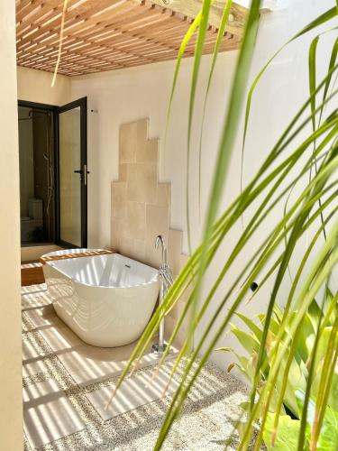 Foto sihtkohas Saint-Pierre asuva majutusasutuse Le Böcarnéa by J&V galeriist