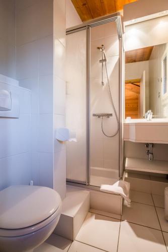 a bathroom with a shower and a toilet and a sink at Hotel Le Samoyede in Morzine
