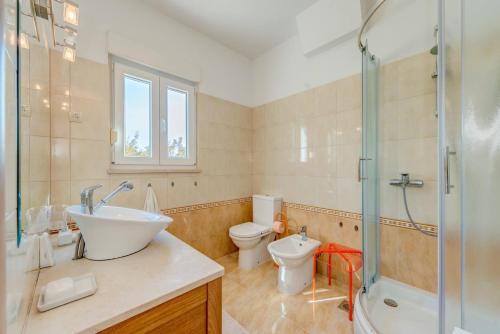 a bathroom with a sink and a toilet and a shower at Rustic Villa Florice with a pool in Lećevica