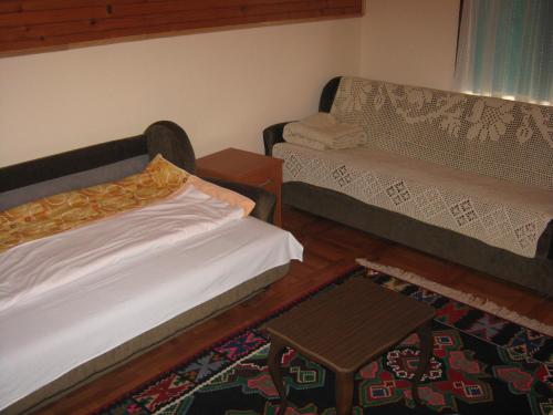a small room with a bed and a table at Guest house Pribojska Banja in Pribojska Banja